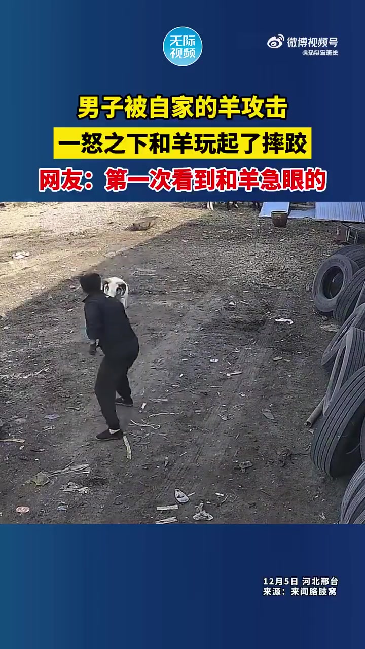 男子被自家羊攻击，怒而摔跤，网友：头回见和羊急眼的