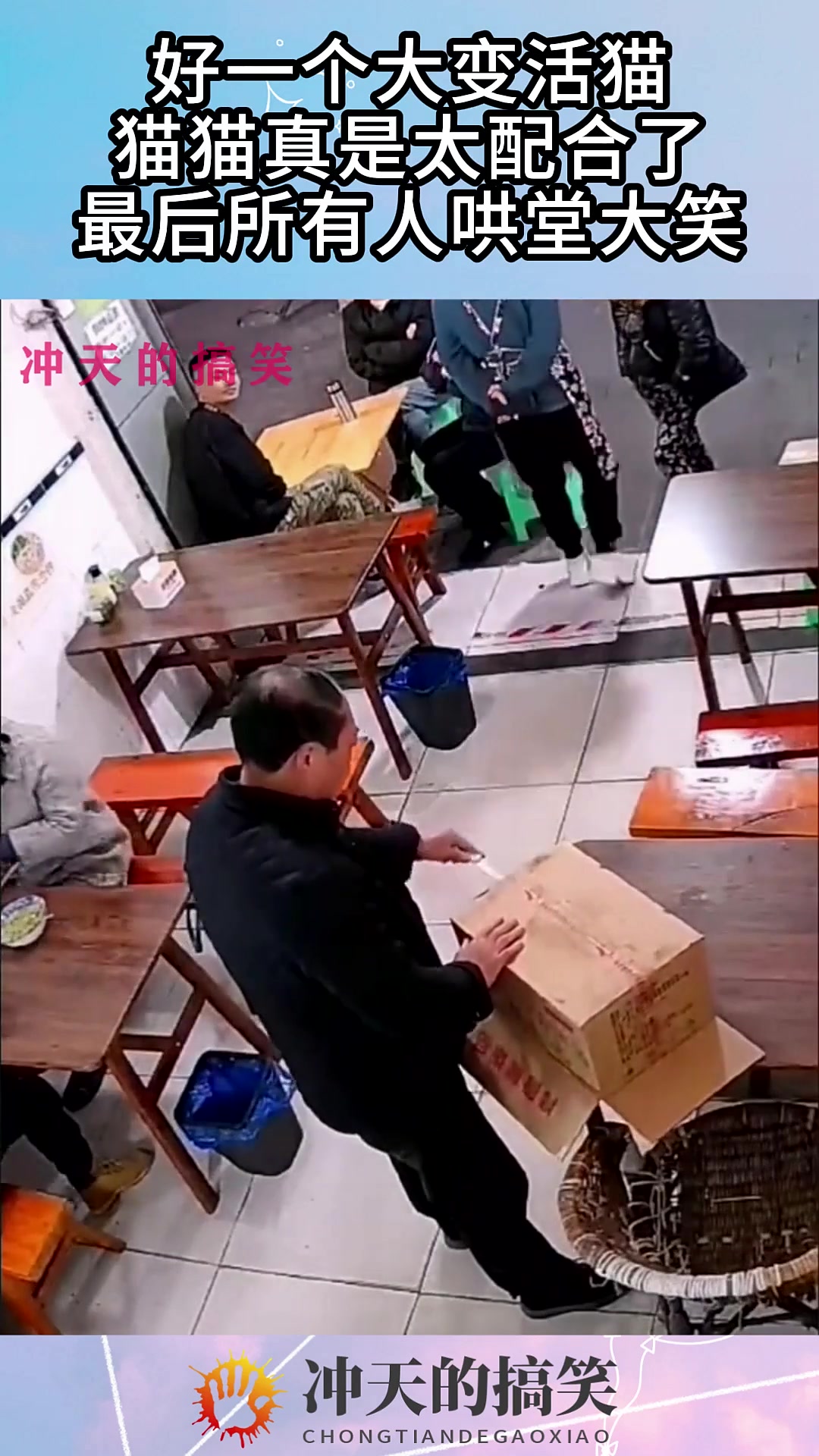 好一个大变活猫，猫猫真是太配合了，最后所有人哄堂大笑！