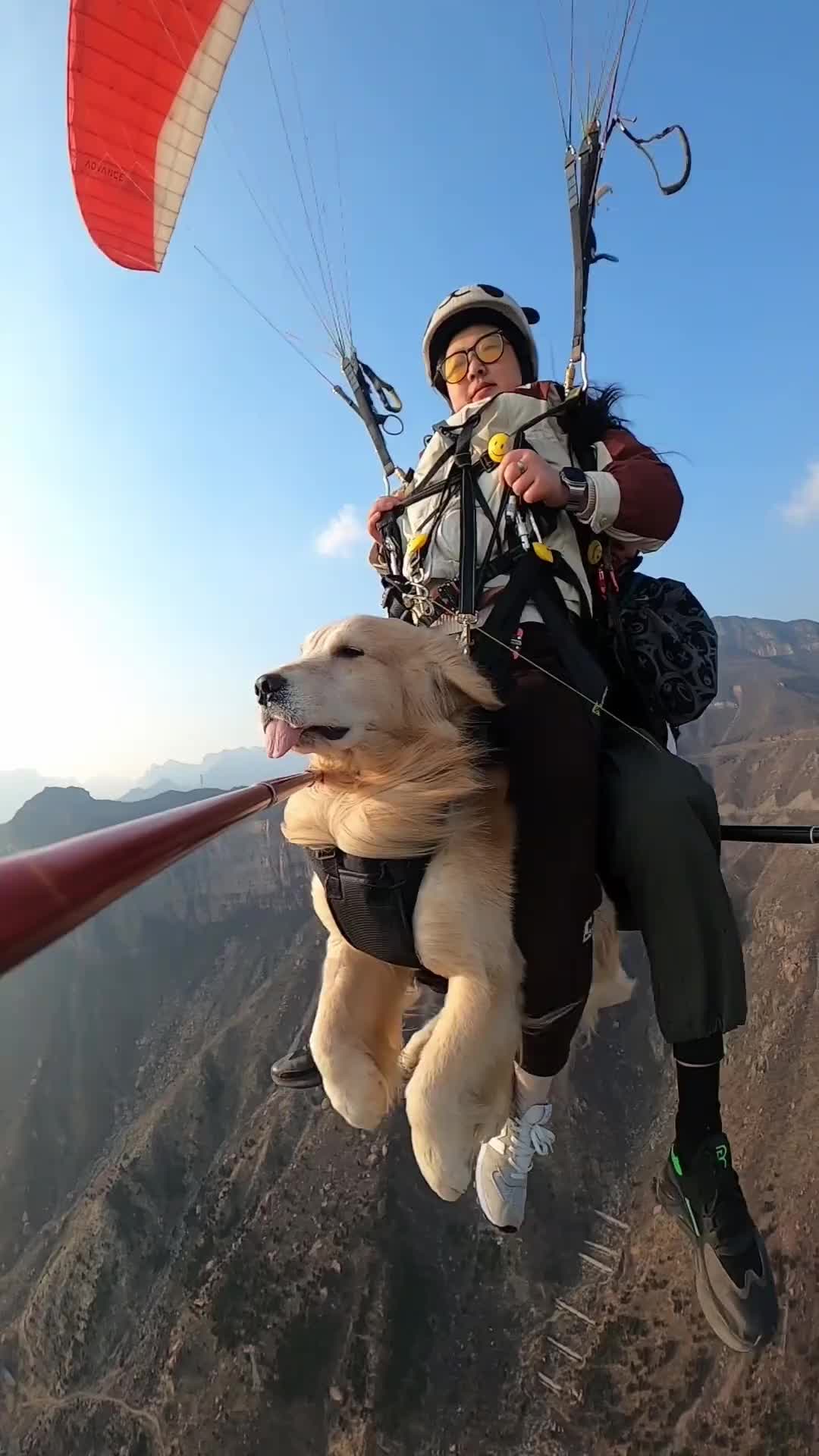 我承认我没有这个狗胆子大！