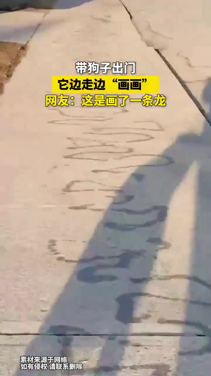 带狗子出门，它边走边“画画”网友这是画了一条龙