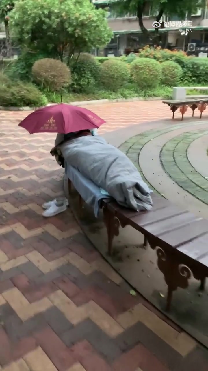 早上散步看到的，不知道夜里冷不冷