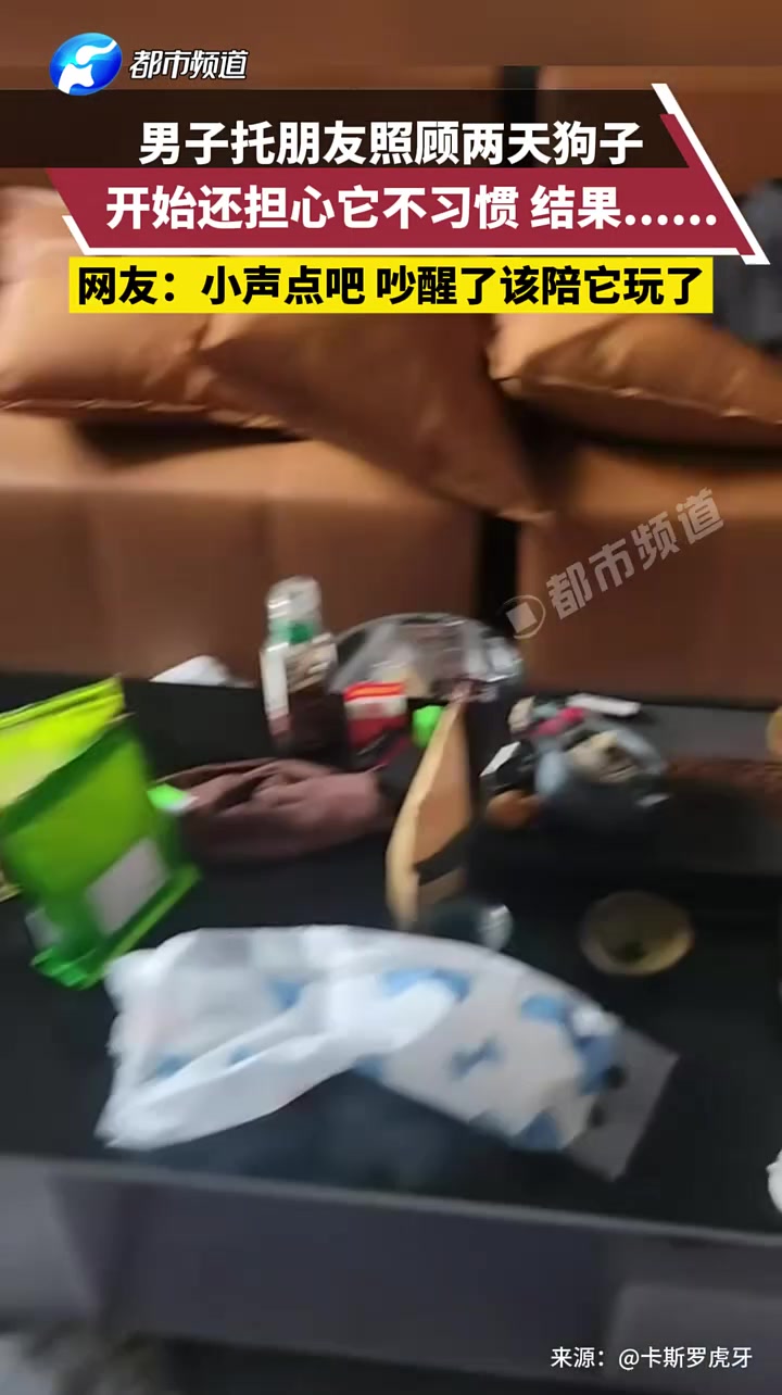 男子托朋友照顾两天狗子，开始还担心它不习惯结果