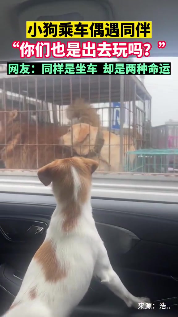 同样是坐车，却是两种命运！
