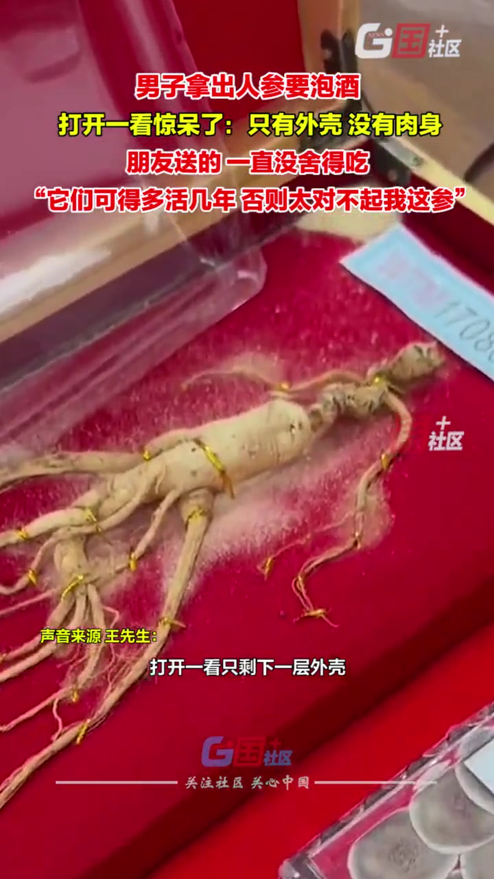 我建议你把虫子泡了，这样有肉有人参
