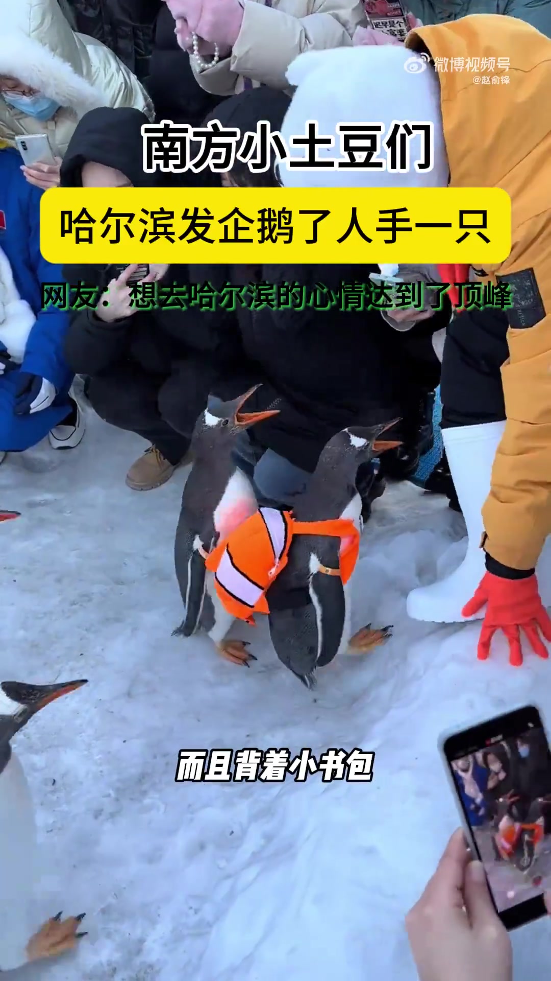 尔滨“发企鹅”啦！南方小土豆勇闯冰雪大世界