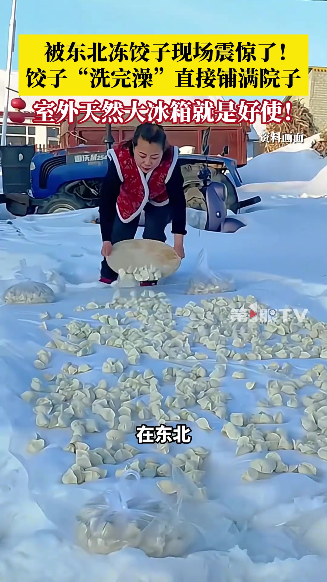 被东北冻饺子现场震惊了！饺子“洗完澡”直接铺满院子