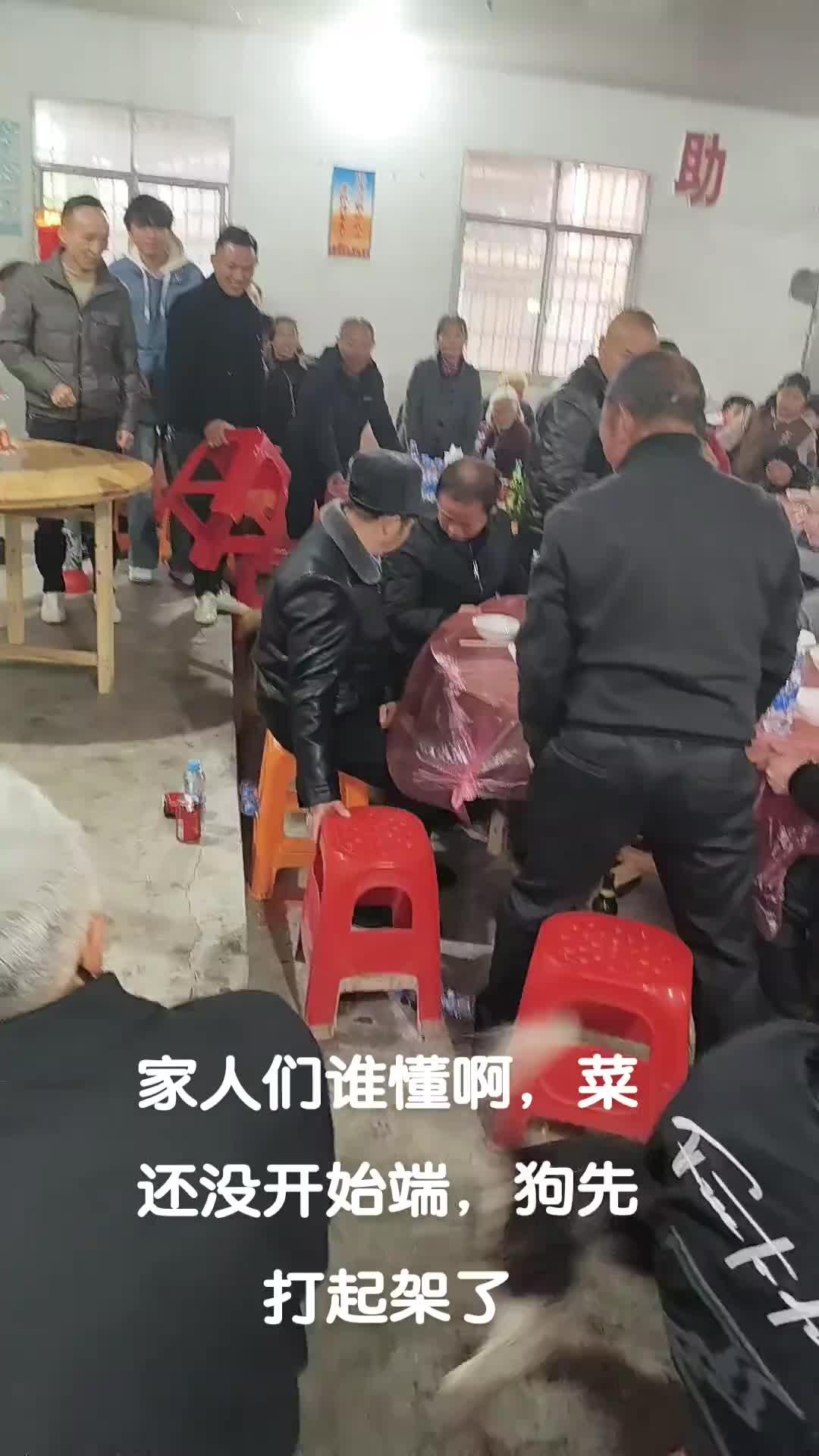 它俩是不是故意打架，就是想把桌子搞翻了吃蛋糕！