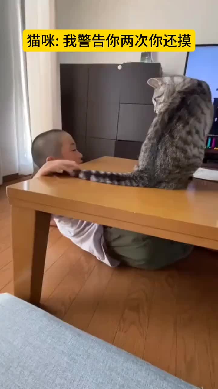 先礼后兵，礼仪之邦