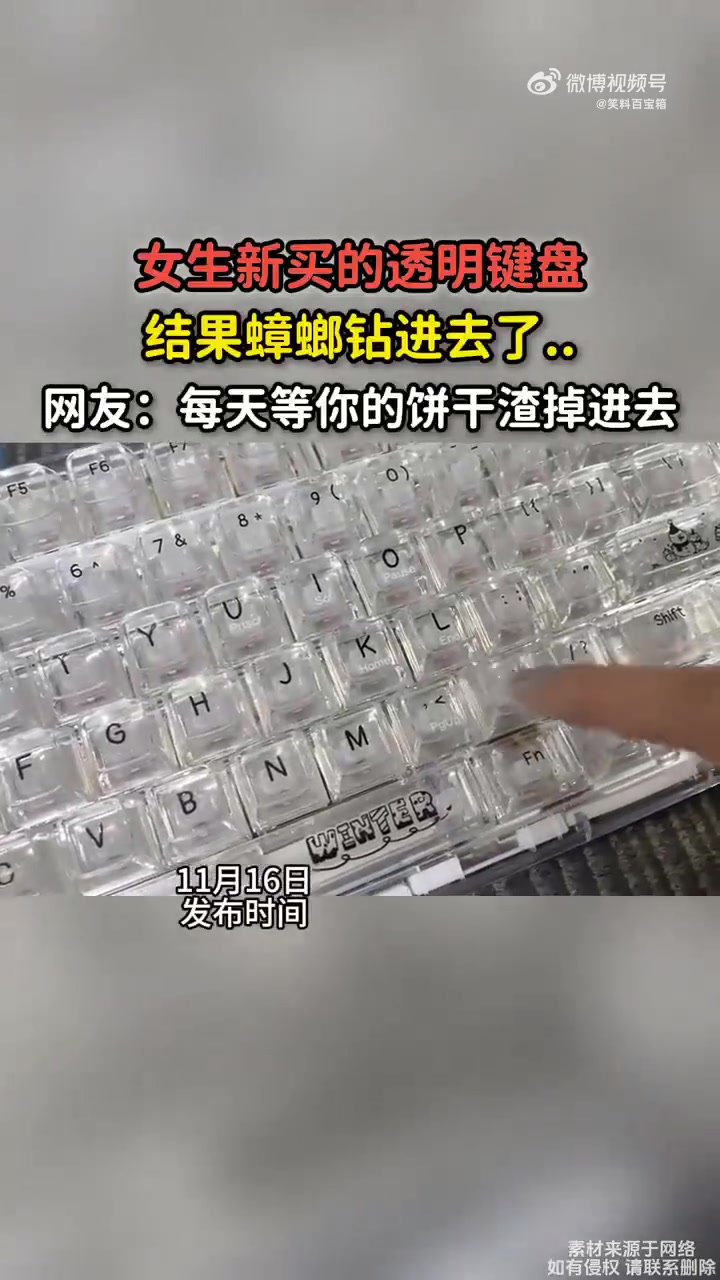 女生新买透明键盘，蟑螂钻入，网友等饼干渣掉进去