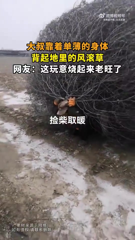 大叔单薄身体背起地里风滚草，网友称烧起来很旺