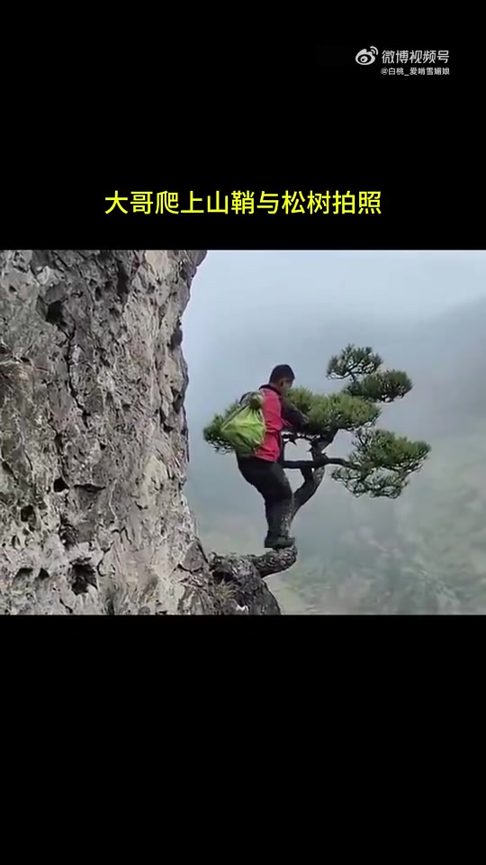 大哥爬上山顶与松树拍照