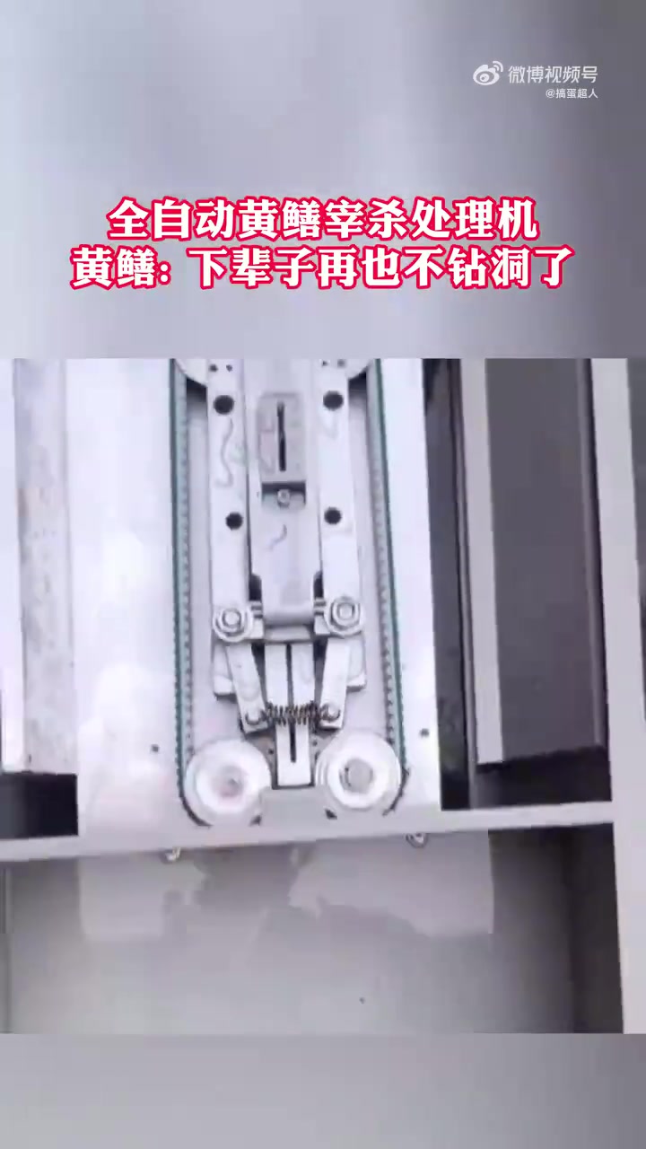全自动黄鳝处理机