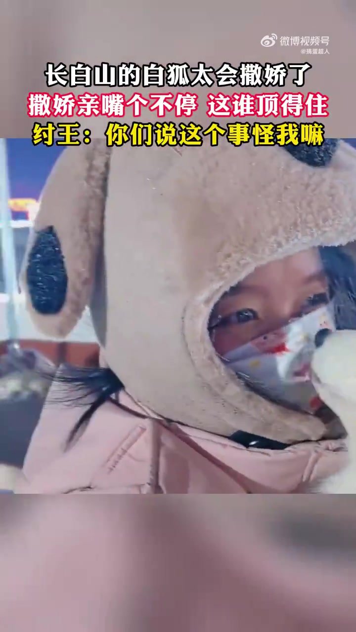 长白山的白狐太会撒娇了