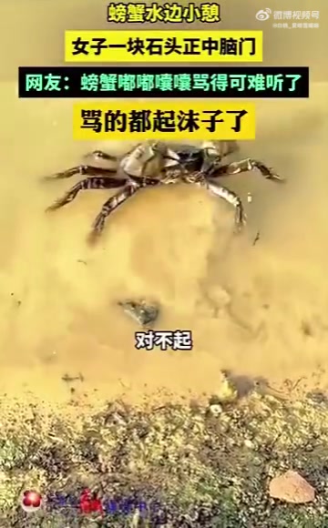 女子扔石砸小憩螃蟹，网友：螃蟹骂得可难听了