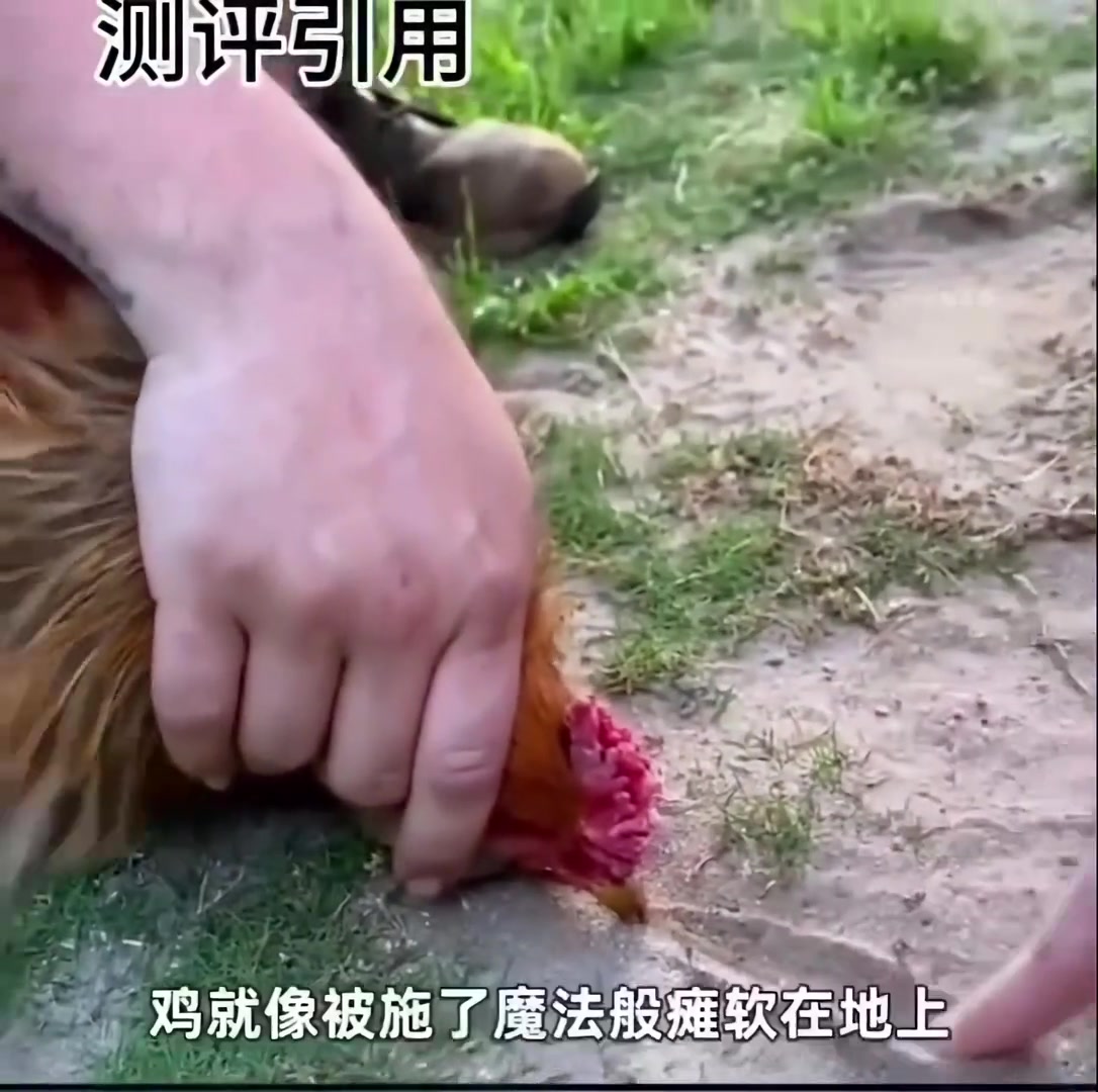什么原理