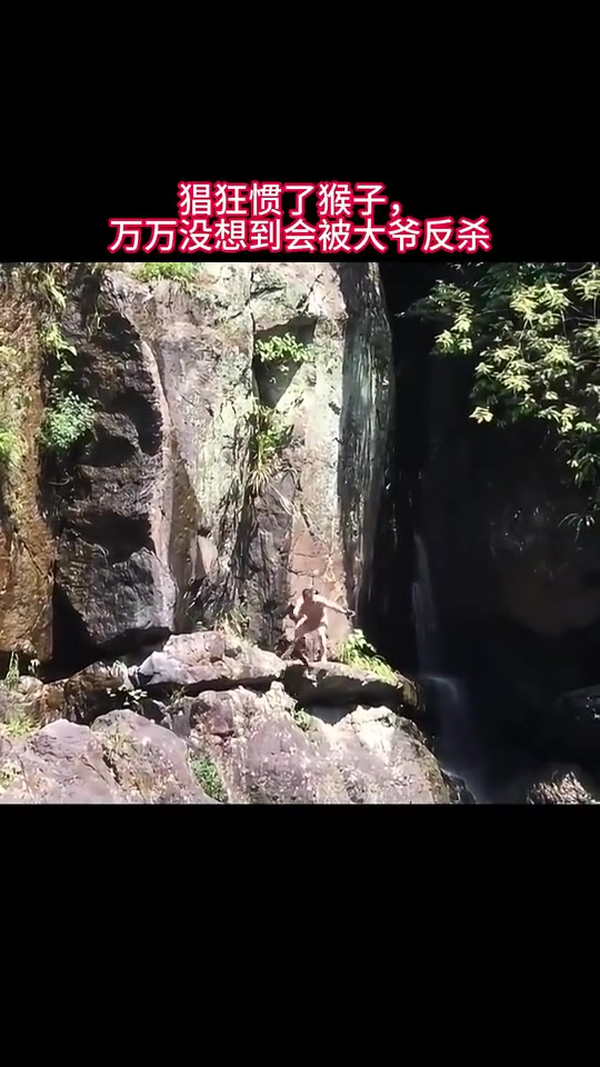 猖狂惯了猴子，万万没想到会被大爷反杀