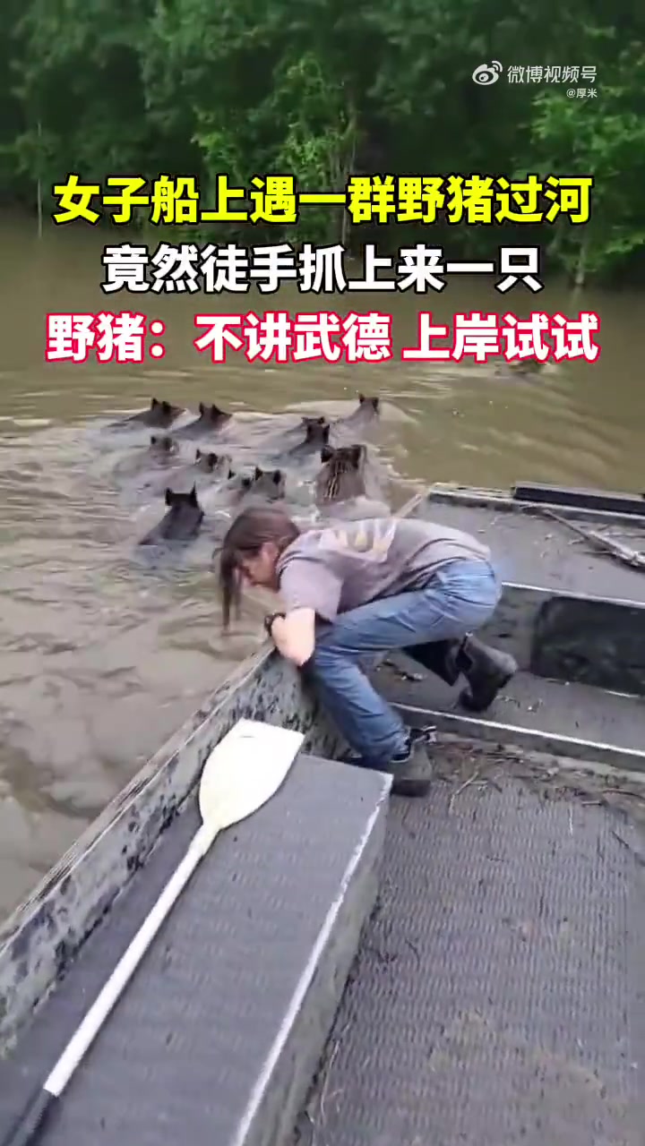 女子遇到野猪过河，徒手抓获一只