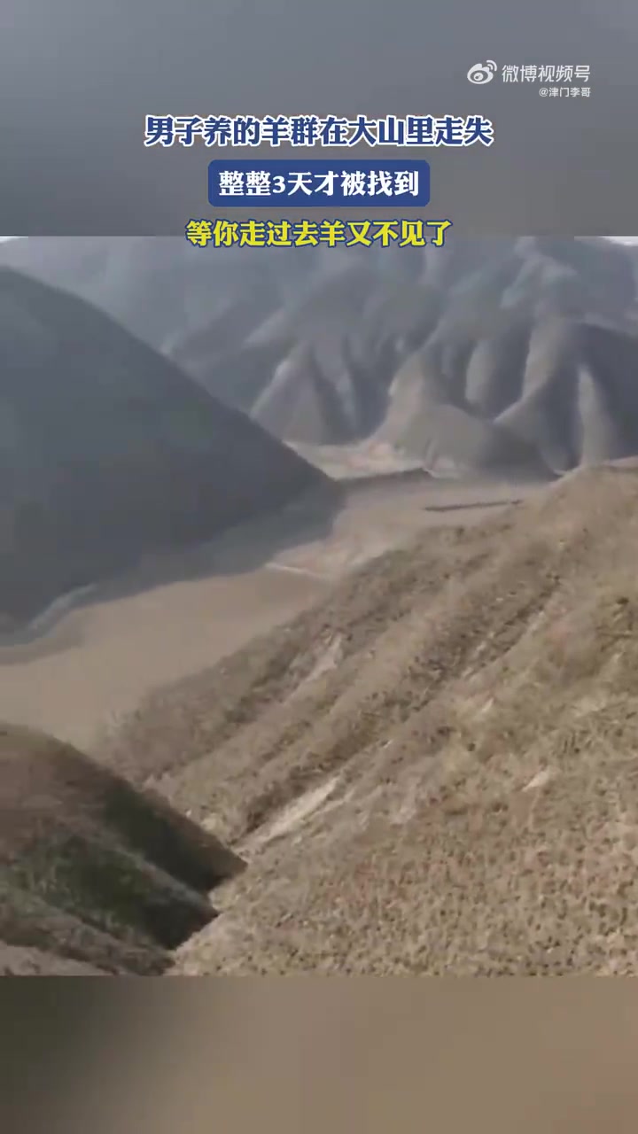 男子养的羊群在大山里走失，整整3天才被找到