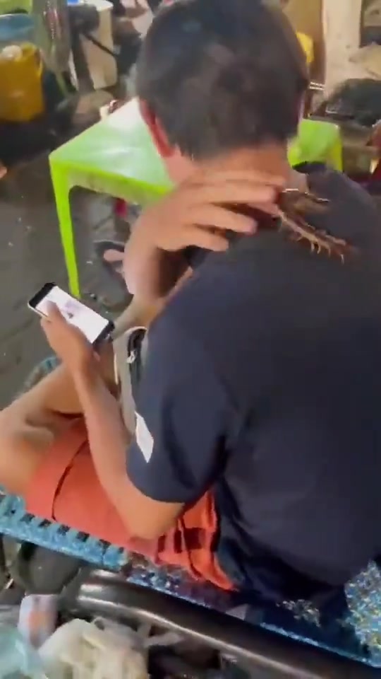 是他的宠物吗