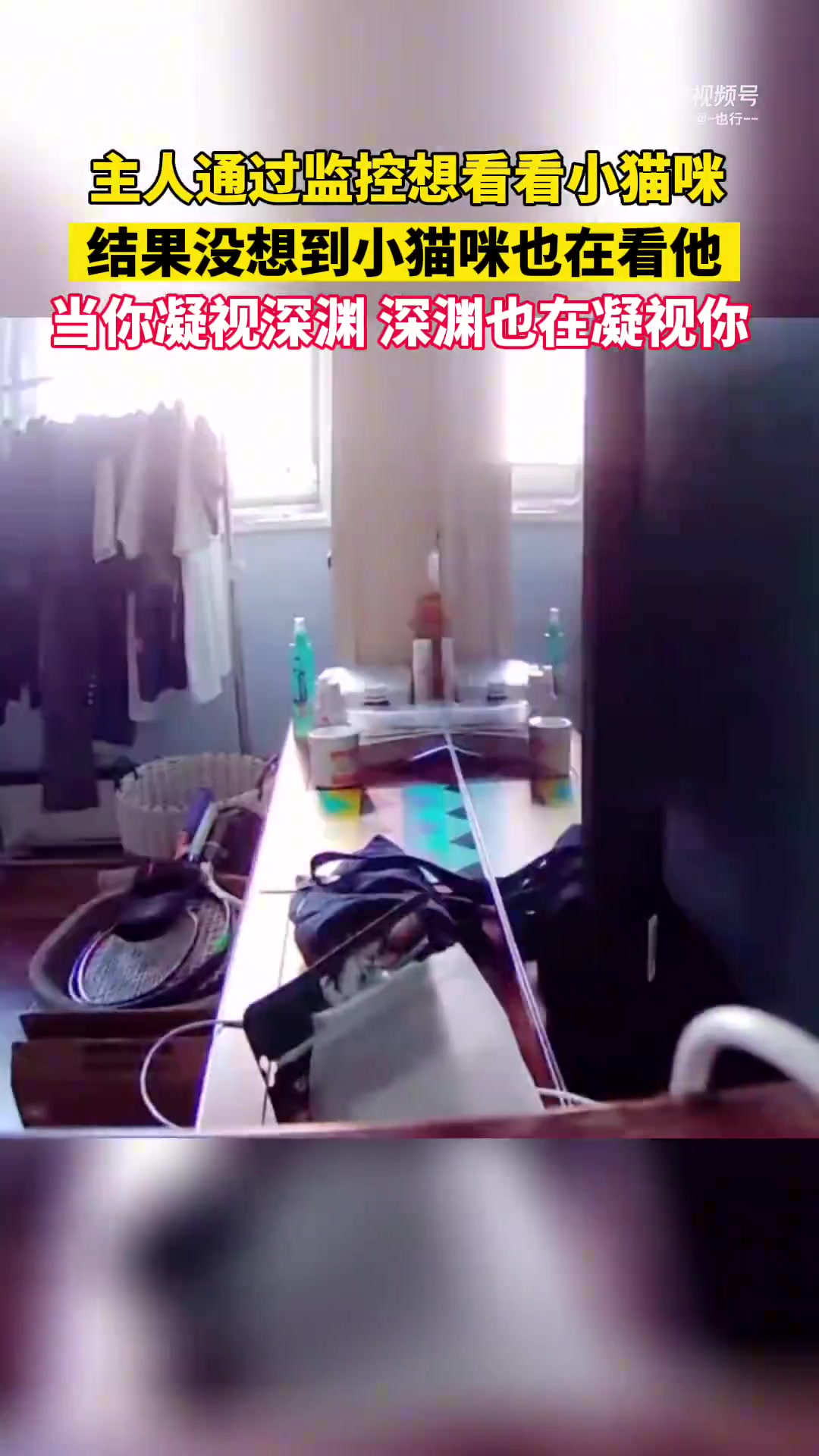 主人通过监控想看看小猫咪，结果没想到小猫咪也在看他！