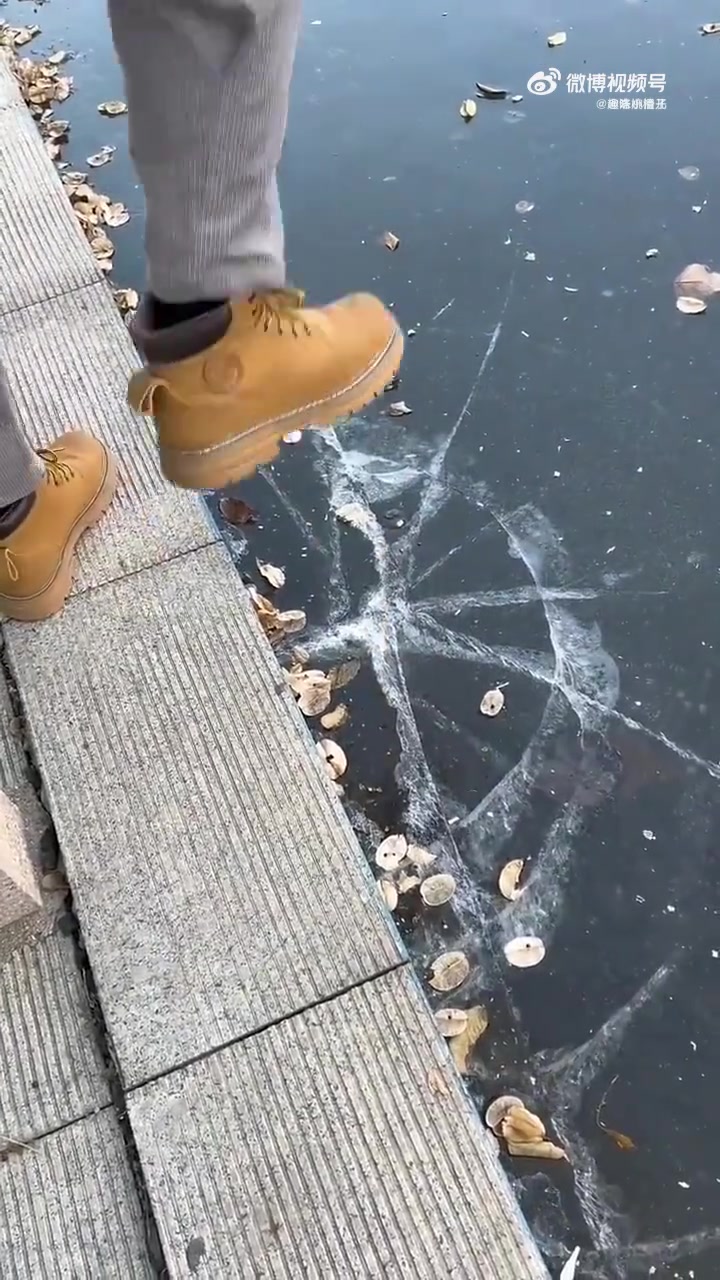 这个视频一定要看到最后
