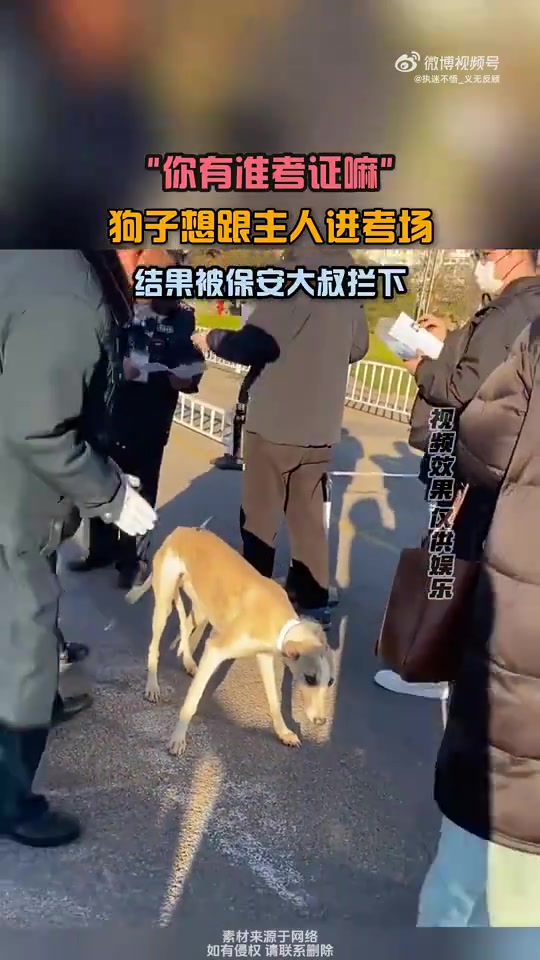 你有准考证嘛狗子想跟主人进考场，结果被保安大叔拦下
