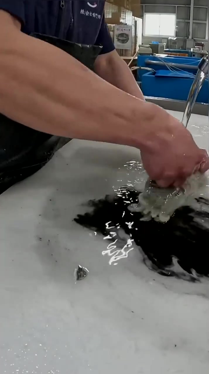 一下就变色了，很神奇的生物