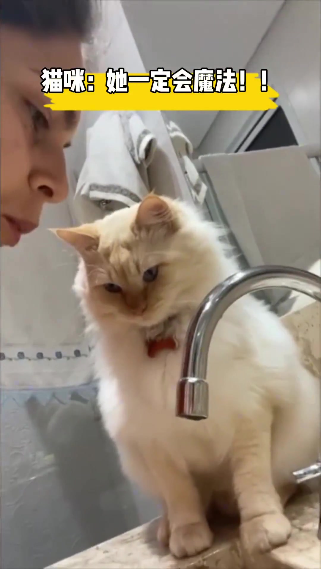 猫：她一定会魔法！