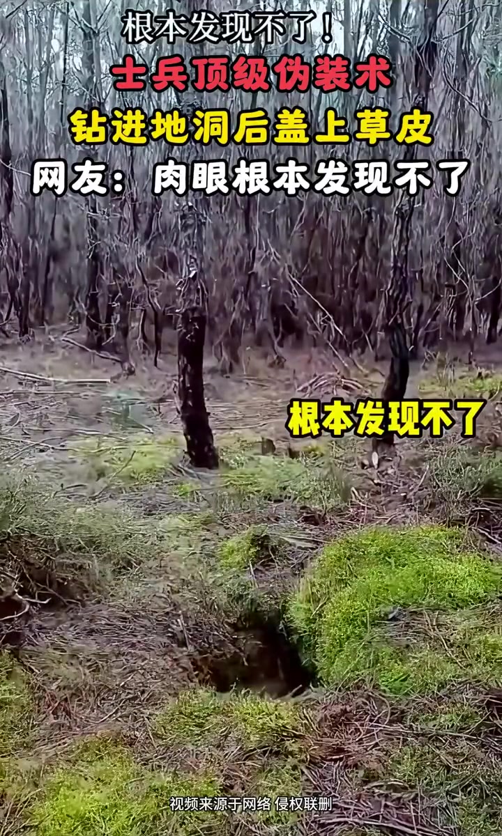 顶级伪装术，肉眼根本发现不了！