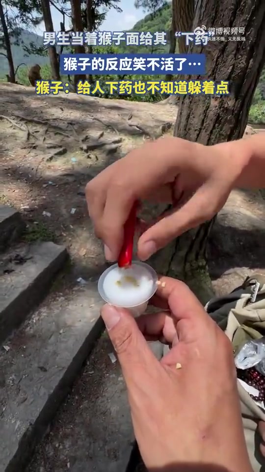 潘金莲下药都背着武大郎呢！男生当着猴子面给其下药