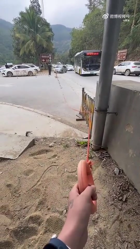 哪里应聘这份工作还挺轻松