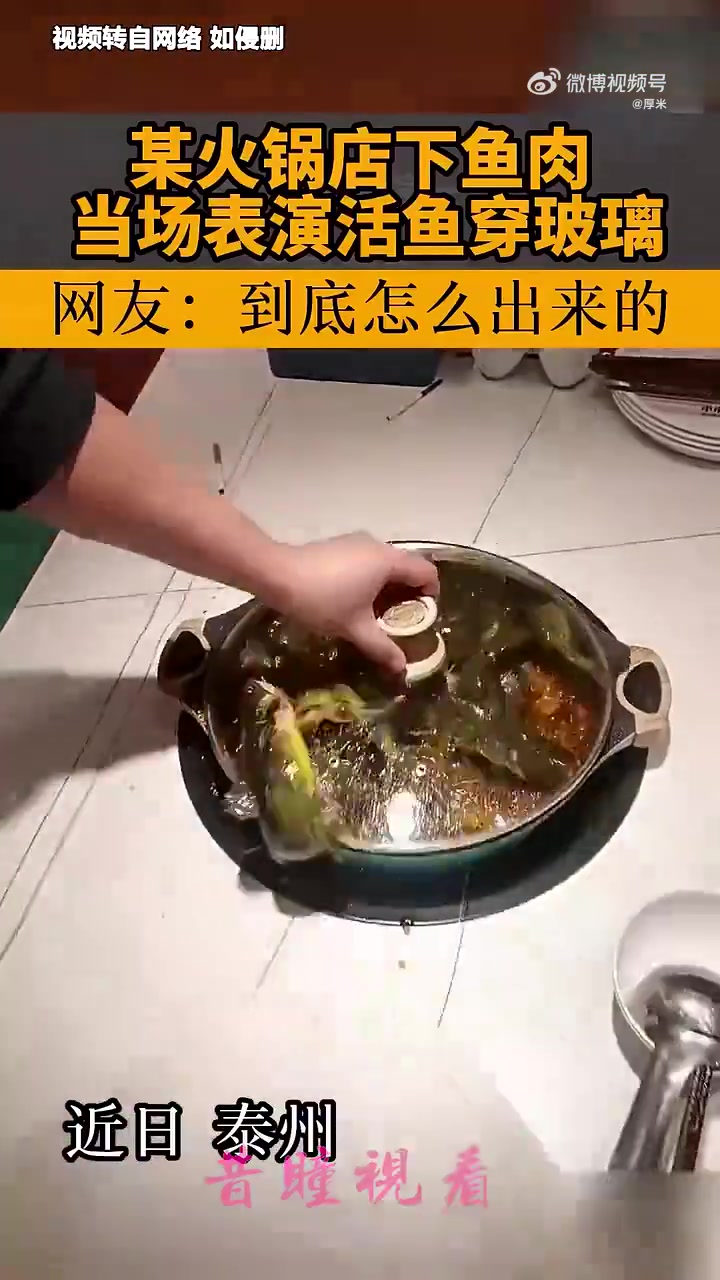 大变活鱼到底怎么出来的