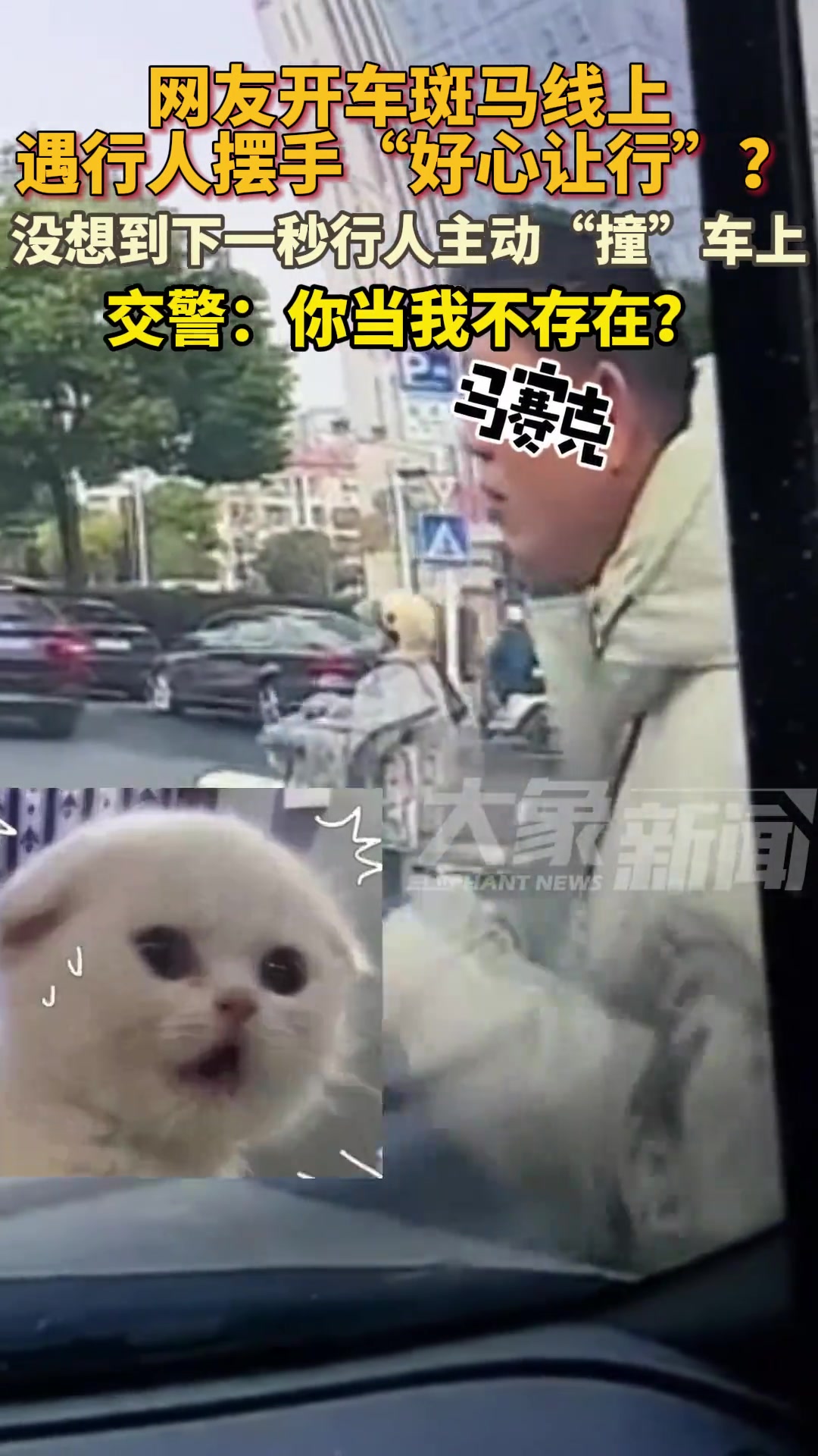 网友开车过斑马线遇行人“好心让路”，下一秒男子主动撞到车上！