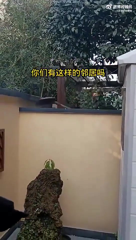 装个储物房放在这里，说挡住她家了，你们有这样的邻居吗