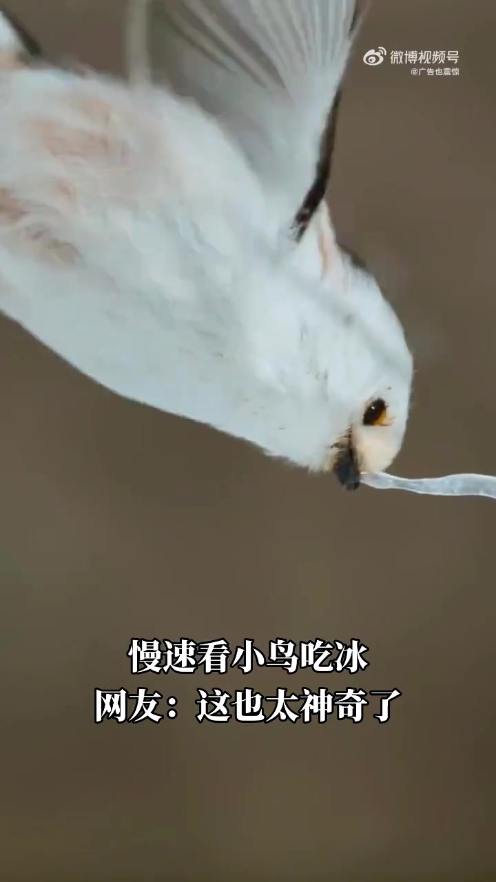冰为什么是横着长的