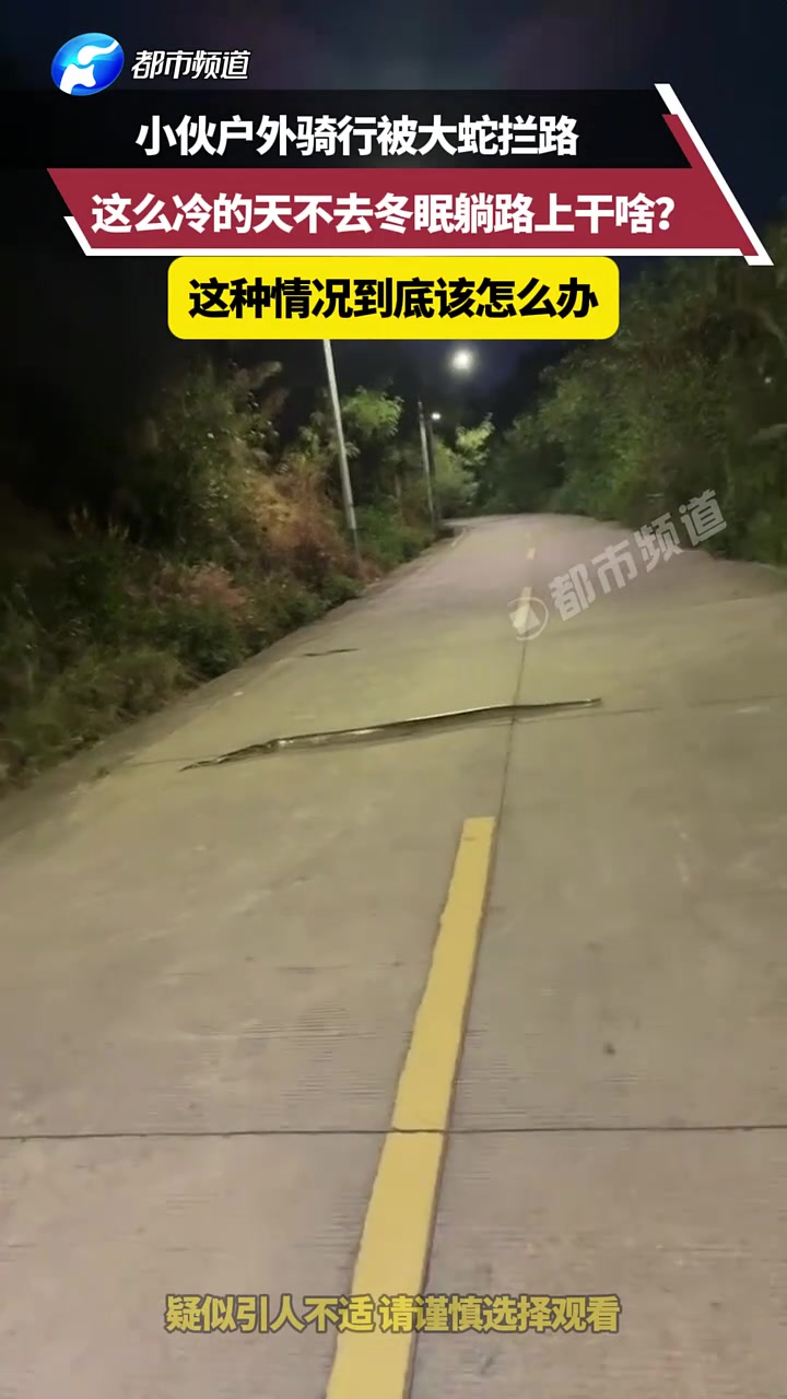 小伙户外骑行被大蛇拦路，这么冷的天不去冬眠躺路上干啥