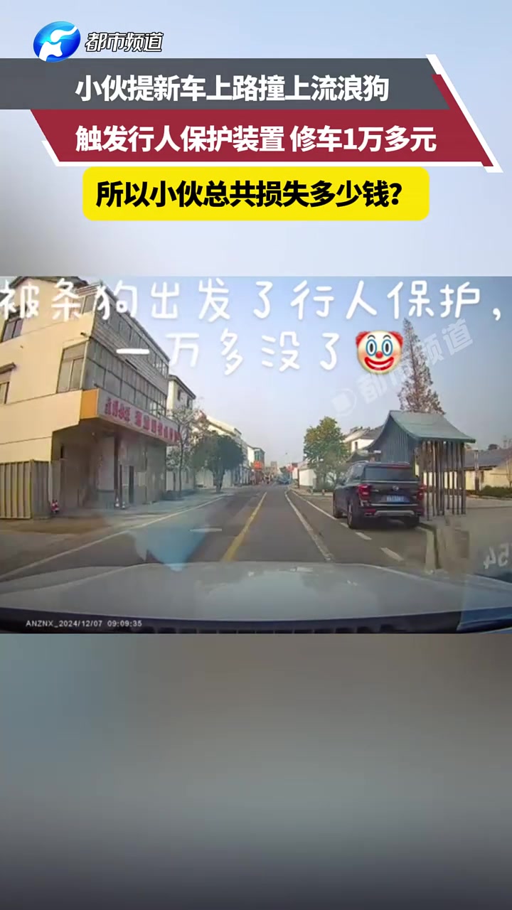 小伙提新车上路撞上流浪狗，触发行人保护装置