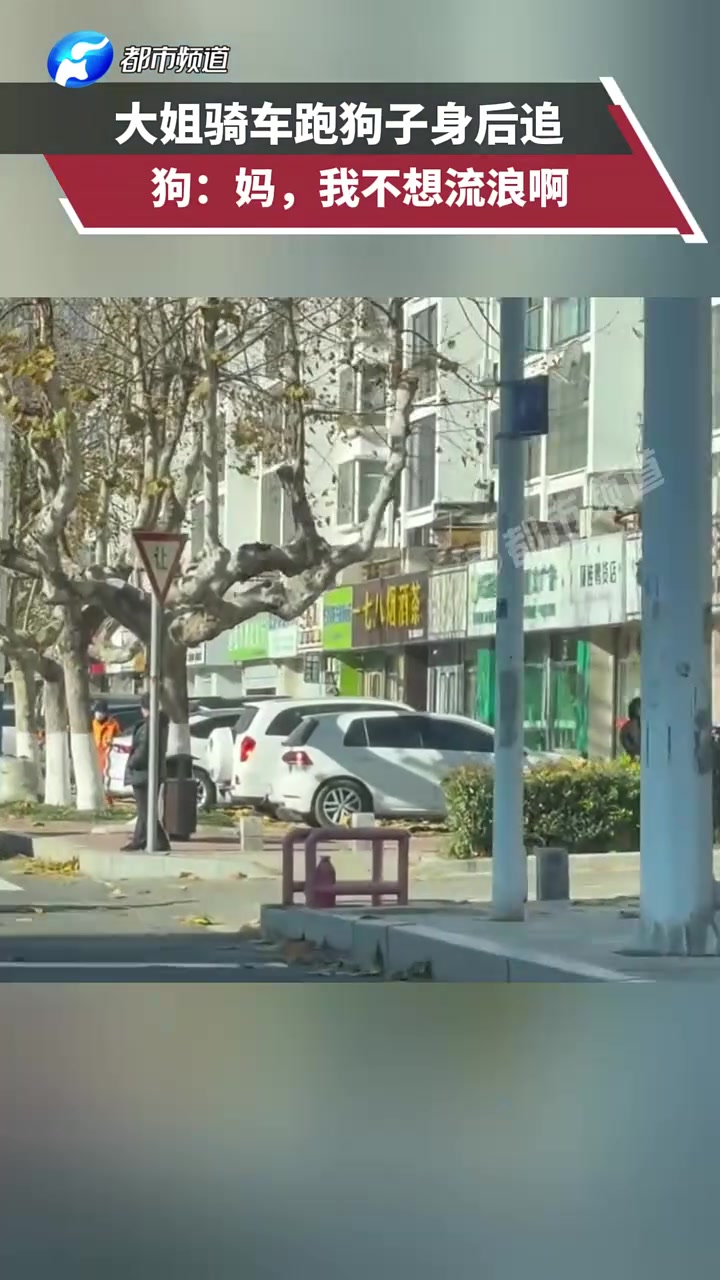 大姐骑车跑狗子身后追，狗：妈，我不想流浪啊