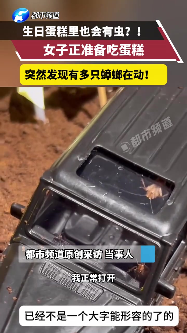 惊呆了！生日蛋糕里也有虫