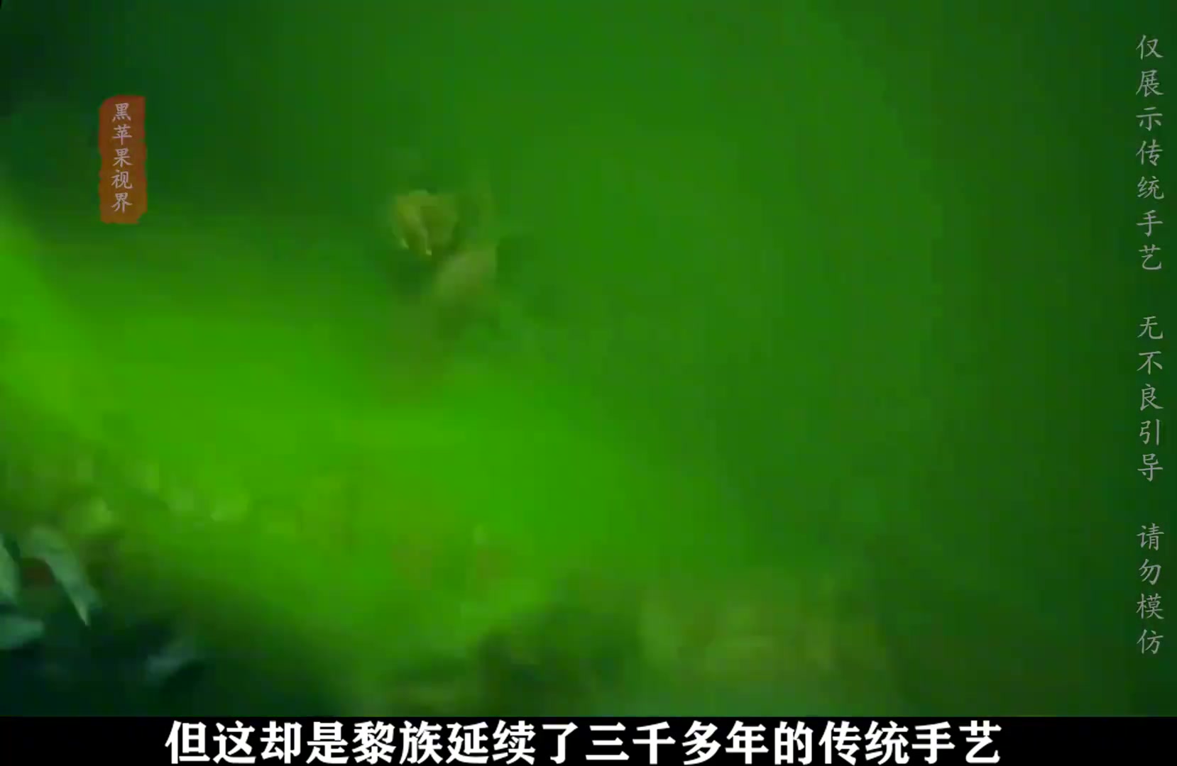 用见血封喉树的树皮做衣服?是黎族延续千年的传统手艺