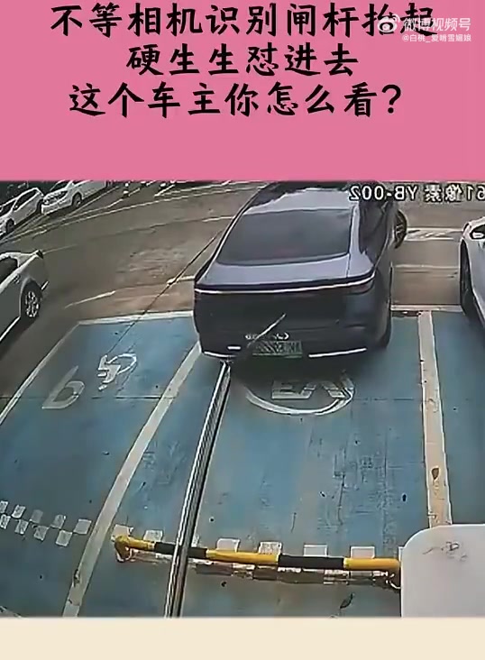 不等相机识别闸杆抬起就硬怼进去，你如何看这位车主
