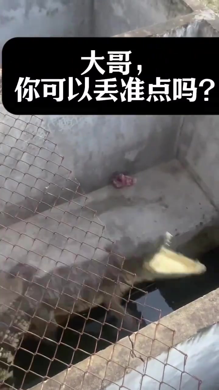 鳄了么取餐失败