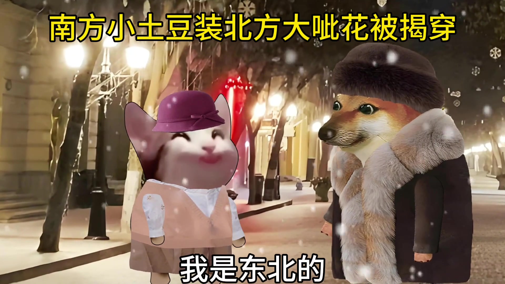 南方小土豆为什么这么喜欢装东北大呲花