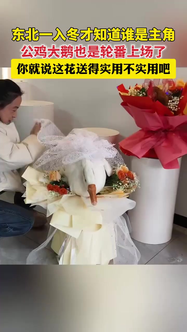 东北一入冬才知道谁是主角，公鸡大鹅也是轮番上场了