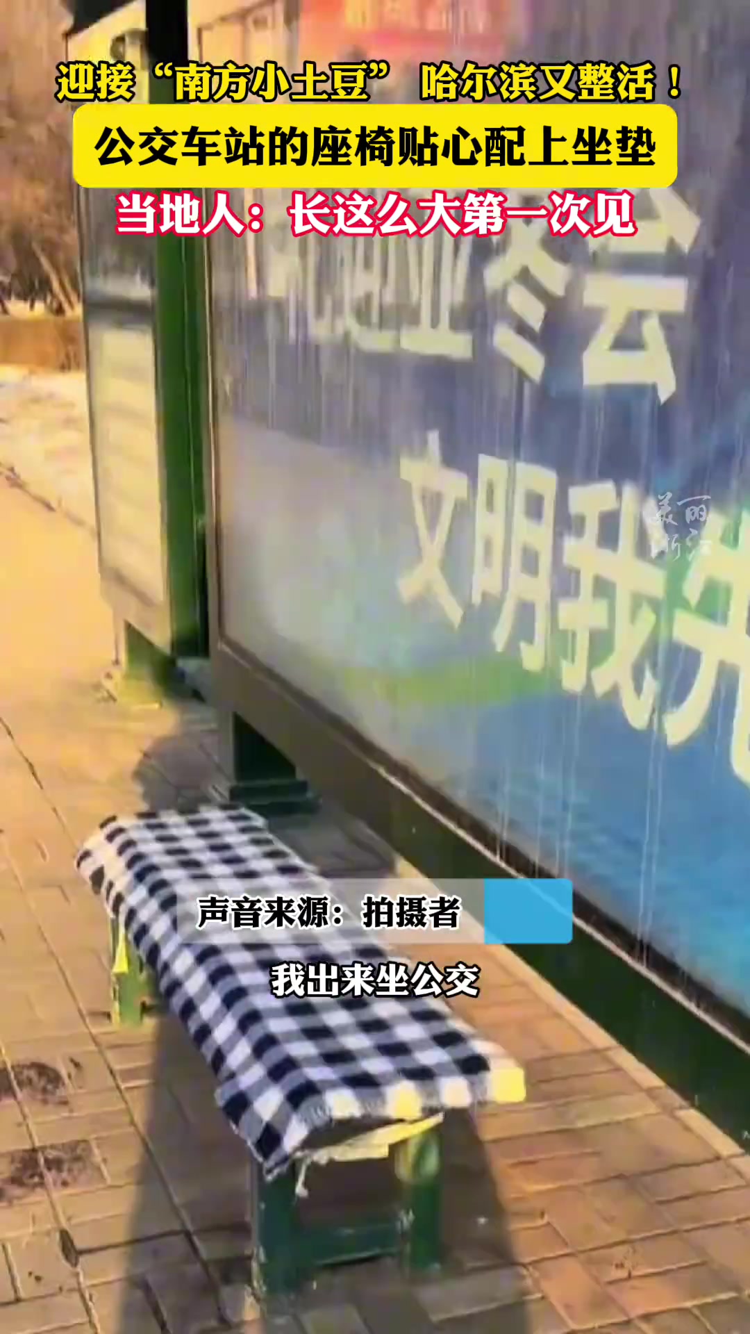 哈尔滨人：尔滨你让我感到陌生长这么大第一次见