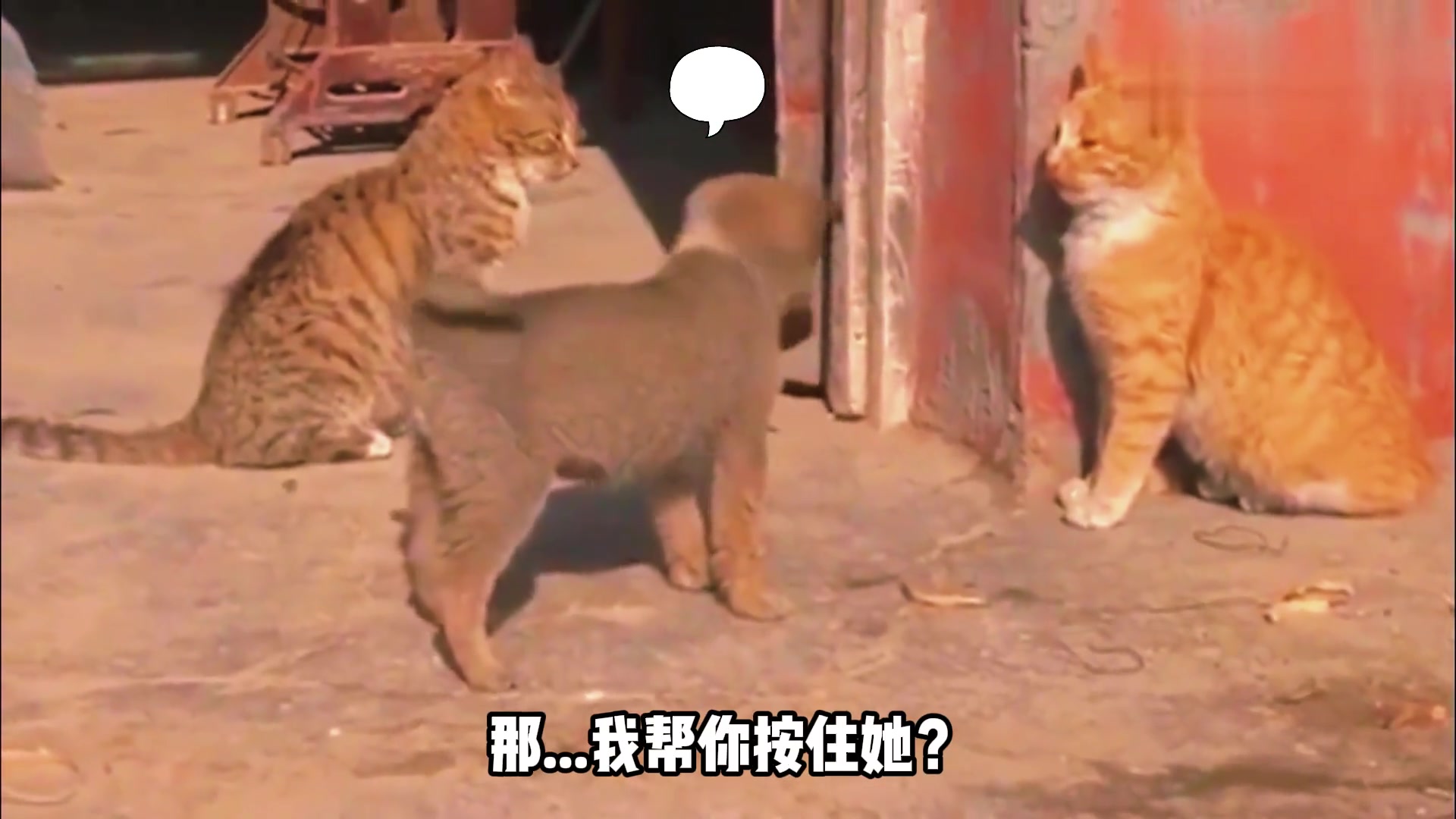 爱就要行动起来！