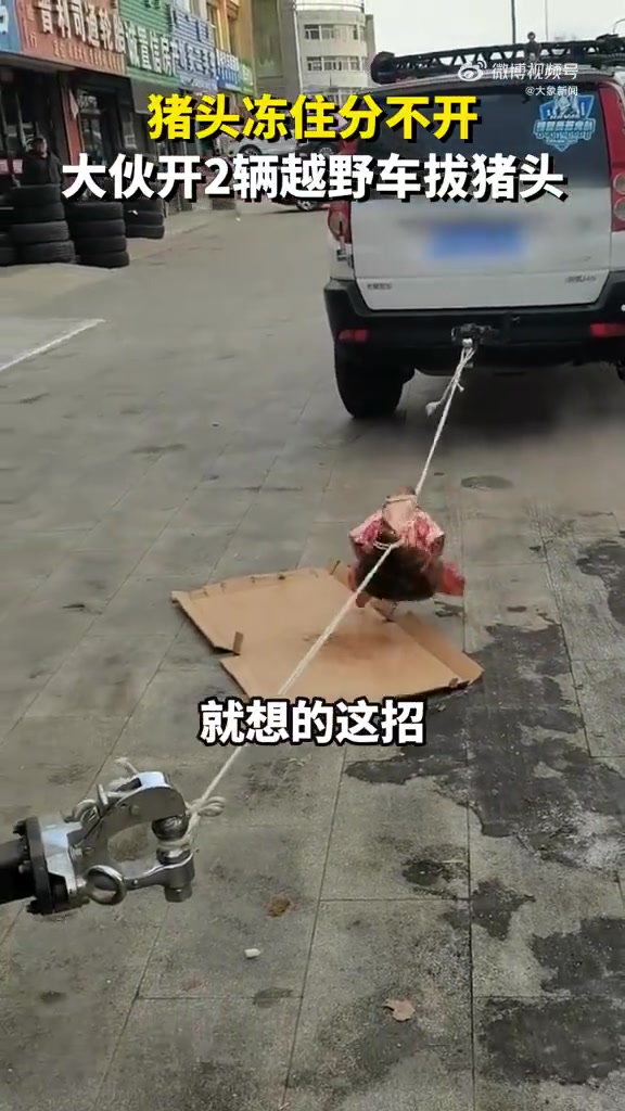 为了分开冻猪头动用2辆越野车