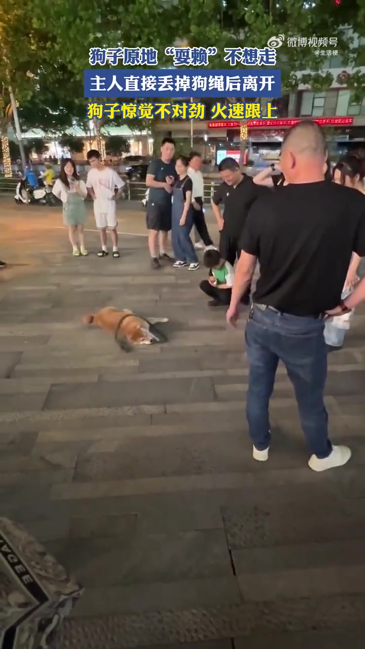 我只是不想回家，不想要没家！