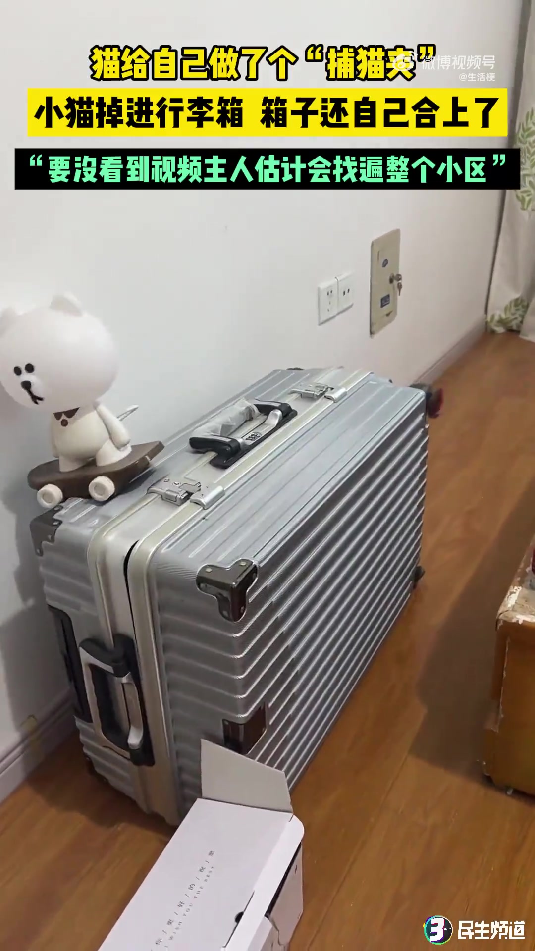 猫给自己做了个“捕猫夹”，小猫掉进行李箱，箱子还自己合上了！