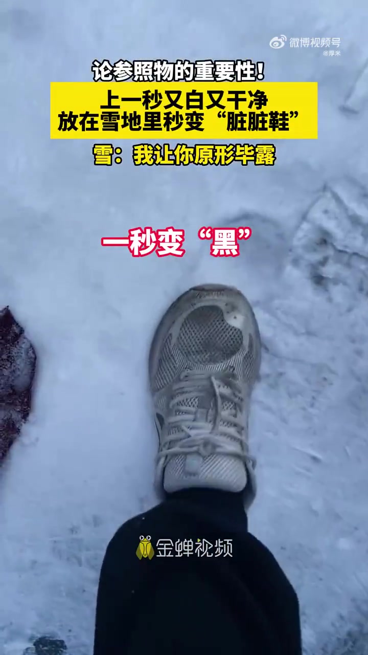 论参照物的重要性